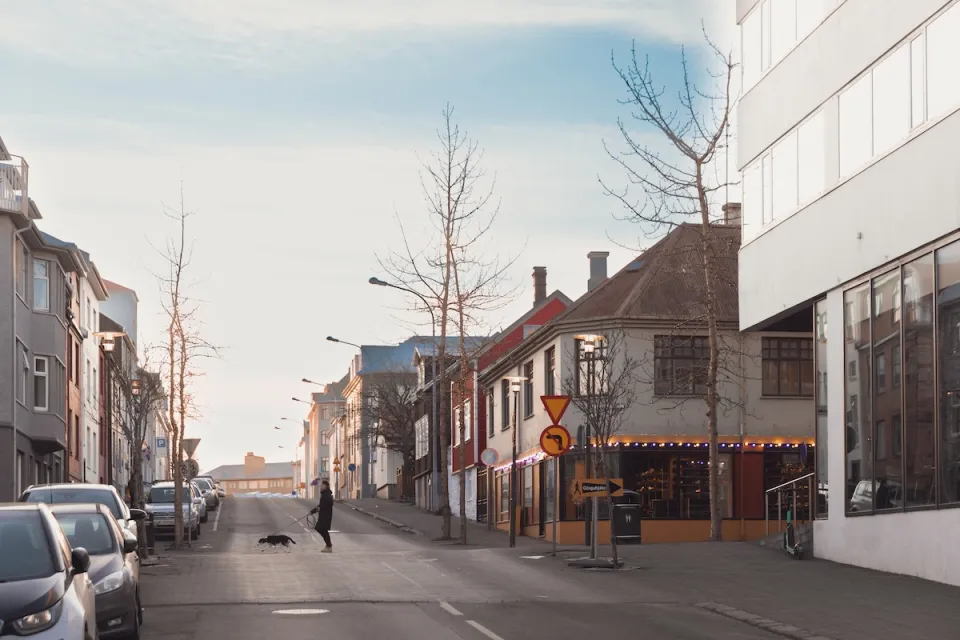 Empty street in Reykjavik, Iceland with man walking dog in crosswalk.